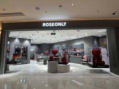 -ROSEONLY诺誓(广州K11店)