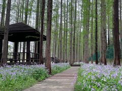 -南京金牛湖风景区