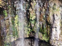 -溪口-滕头旅游景区