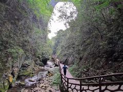 -酒仙湖景区