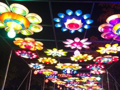 -飞凤山奥体公园