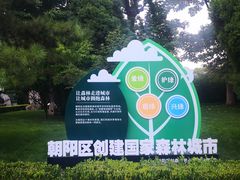 -团结湖公园