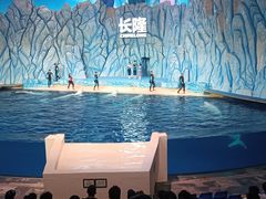 -珠海长隆海洋王国