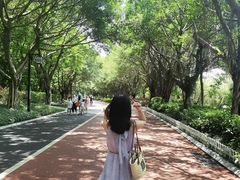 -南宁南湖公园