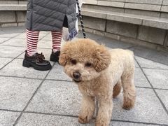 -北京观赏动物医院·24小时大型综合·猫专科·异宠专科