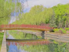 -元大都城垣遗址公园