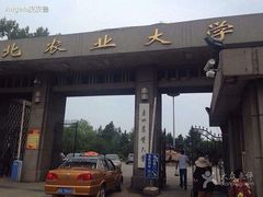 -东北农业大学饺子园