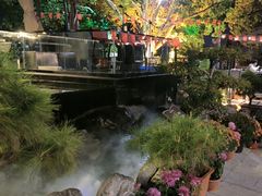 -蘇河湾·新鲁菜·泰山宴(泰山店)
