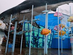 -海合安武汉极地海洋公园