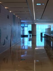 -黛蓝形象定制