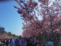 -艾溪湖湿地公园