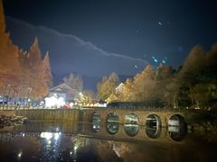 -九华山聚龙大酒店