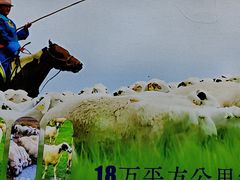 -额尔敦·品质自助(摩尔城店)