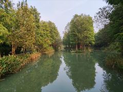 -西溪国家湿地公园