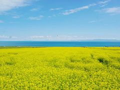 -青海湖国家重点风景名胜区