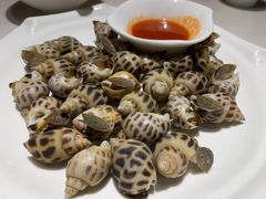 白灼花螺-潮人姐妹轩(海宁路店)