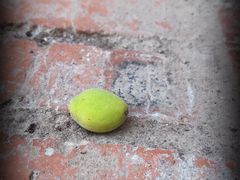 -云岫谷游猎自然风景区