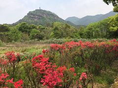 -天台山赤城山景区