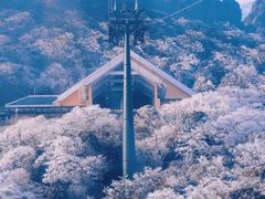 -梵净山旅游区