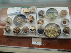 -璞真扎染博物馆