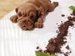 网红沙皮狗-里宴川菜酒楼(昊祥邻里聚金泉广场店)