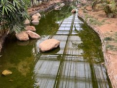 -九天休闲谷