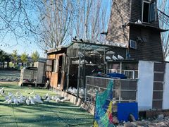 -长白岛森林公园