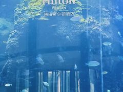 -OPEN開全日自助餐厅·牛肉火锅·海鲜(佛山希尔顿酒店)