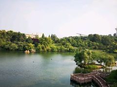 -仙林宾馆-餐厅
