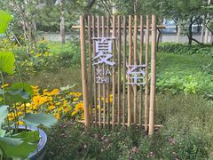 -莲花池公园