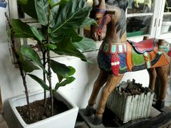 -懒鱼时光馆(沙坪坝店)