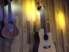 -小确幸吉他(北大街校区)