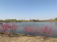 -东郊湿地公园