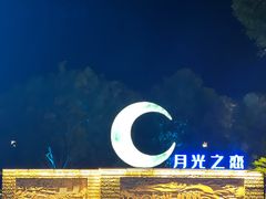 -绿城千岛湖喜来登度假酒店