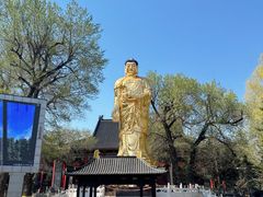 -哈尔滨极乐寺