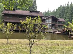 -黄海国家森林公园