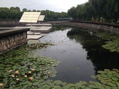 iphone_upload_pic-上海鲜花港
