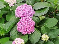 -常州古运河南大街文化旅游区-人民公园