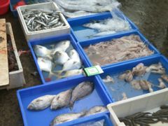 -先锋海鲜市场
