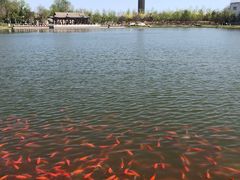 -西海子公园