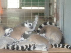 -泉州海丝野生动物世界