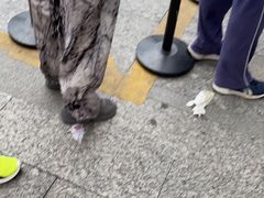 -喜茶(深圳东部星悦天地店)
