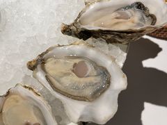 -Oyster Talks 四度蚝法餐厅