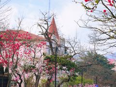 -八大关景区