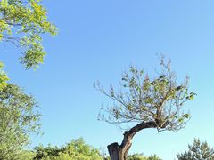 -北坞公园