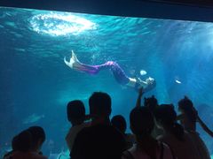 -常州海昌海洋探索馆