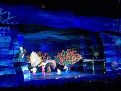 -奥兰多迪士尼动物王国乐园