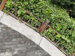 -张学良旧居陈列馆