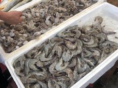 -韩家墅海吉星农产品批发市场