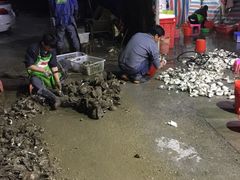 -蚝专家(北滘店)